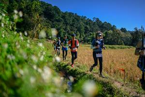 BIB: 
                            <button type="button" onclick="openModal(26576326)" class="btn btn-primary btn-sm float-right btn-popup" data-toggle="modal" data-target=".modal-high-quality">
                        <i class="fas fa-shopping-cart"></i> Add to Cart
                    </button>
                                            <button type="button" onclick="isThisMe(26576326, true)" class="btn btn-success btn-sm float-right btn-popup btn-isme hidden" data-toggle="tooltip" data-placement="bottom" title="นี่คือรูปของคุณใช่ไหม คลิกที่นี่เพื่อเอาเข้าอัลบั้ม">
                        <i class="fas fa-plus"></i> Add to album
                    </button>
                    <button type="button" onclick="isThisMe(26576326, false)" class="btn btn-warning btn-sm float-right btn-popup btn-isnotme hidden">
                        <i class="fas fa-ban"></i> Remove from album
                    </button>