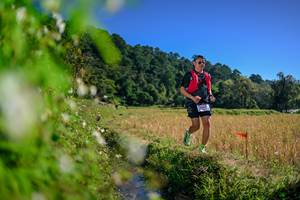 BIB: 
                            <button type="button" onclick="openModal(26580278)" class="btn btn-primary btn-sm float-right btn-popup" data-toggle="modal" data-target=".modal-high-quality">
                        <i class="fas fa-shopping-cart"></i> Add to Cart
                    </button>
                                            <button type="button" onclick="isThisMe(26580278, true)" class="btn btn-success btn-sm float-right btn-popup btn-isme hidden" data-toggle="tooltip" data-placement="bottom" title="นี่คือรูปของคุณใช่ไหม คลิกที่นี่เพื่อเอาเข้าอัลบั้ม">
                        <i class="fas fa-plus"></i> Add to album
                    </button>
                    <button type="button" onclick="isThisMe(26580278, false)" class="btn btn-warning btn-sm float-right btn-popup btn-isnotme hidden">
                        <i class="fas fa-ban"></i> Remove from album
                    </button>