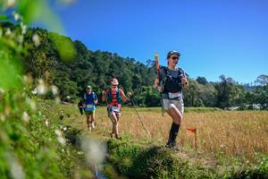 BIB: 
                            <button type="button" onclick="openModal(26579668)" class="btn btn-primary btn-sm float-right btn-popup" data-toggle="modal" data-target=".modal-high-quality">
                        <i class="fas fa-shopping-cart"></i> Add to Cart
                    </button>
                                            <button type="button" onclick="isThisMe(26579668, true)" class="btn btn-success btn-sm float-right btn-popup btn-isme hidden" data-toggle="tooltip" data-placement="bottom" title="นี่คือรูปของคุณใช่ไหม คลิกที่นี่เพื่อเอาเข้าอัลบั้ม">
                        <i class="fas fa-plus"></i> Add to album
                    </button>
                    <button type="button" onclick="isThisMe(26579668, false)" class="btn btn-warning btn-sm float-right btn-popup btn-isnotme hidden">
                        <i class="fas fa-ban"></i> Remove from album
                    </button>