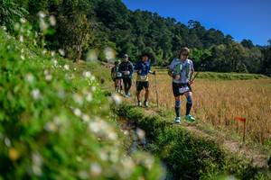 BIB: 
                            <button type="button" onclick="openModal(26581702)" class="btn btn-primary btn-sm float-right btn-popup" data-toggle="modal" data-target=".modal-high-quality">
                        <i class="fas fa-shopping-cart"></i> Add to Cart
                    </button>
                                            <button type="button" onclick="isThisMe(26581702, true)" class="btn btn-success btn-sm float-right btn-popup btn-isme hidden" data-toggle="tooltip" data-placement="bottom" title="นี่คือรูปของคุณใช่ไหม คลิกที่นี่เพื่อเอาเข้าอัลบั้ม">
                        <i class="fas fa-plus"></i> Add to album
                    </button>
                    <button type="button" onclick="isThisMe(26581702, false)" class="btn btn-warning btn-sm float-right btn-popup btn-isnotme hidden">
                        <i class="fas fa-ban"></i> Remove from album
                    </button>