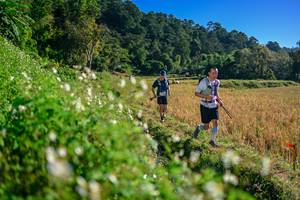 BIB: 
                            <button type="button" onclick="openModal(26571303)" class="btn btn-primary btn-sm float-right btn-popup" data-toggle="modal" data-target=".modal-high-quality">
                        <i class="fas fa-shopping-cart"></i> Add to Cart
                    </button>
                                            <button type="button" onclick="isThisMe(26571303, true)" class="btn btn-success btn-sm float-right btn-popup btn-isme hidden" data-toggle="tooltip" data-placement="bottom" title="นี่คือรูปของคุณใช่ไหม คลิกที่นี่เพื่อเอาเข้าอัลบั้ม">
                        <i class="fas fa-plus"></i> Add to album
                    </button>
                    <button type="button" onclick="isThisMe(26571303, false)" class="btn btn-warning btn-sm float-right btn-popup btn-isnotme hidden">
                        <i class="fas fa-ban"></i> Remove from album
                    </button>