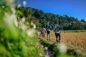 BIB: 
                            <button type="button" onclick="openModal(26573250)" class="btn btn-primary btn-sm float-right btn-popup" data-toggle="modal" data-target=".modal-high-quality">
                        <i class="fas fa-shopping-cart"></i> Add to Cart
                    </button>
                                            <button type="button" onclick="isThisMe(26573250, true)" class="btn btn-success btn-sm float-right btn-popup btn-isme hidden" data-toggle="tooltip" data-placement="bottom" title="นี่คือรูปของคุณใช่ไหม คลิกที่นี่เพื่อเอาเข้าอัลบั้ม">
                        <i class="fas fa-plus"></i> Add to album
                    </button>
                    <button type="button" onclick="isThisMe(26573250, false)" class="btn btn-warning btn-sm float-right btn-popup btn-isnotme hidden">
                        <i class="fas fa-ban"></i> Remove from album
                    </button>