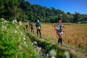 BIB: 
                            <button type="button" onclick="openModal(26575746)" class="btn btn-primary btn-sm float-right btn-popup" data-toggle="modal" data-target=".modal-high-quality">
                        <i class="fas fa-shopping-cart"></i> Add to Cart
                    </button>
                                            <button type="button" onclick="isThisMe(26575746, true)" class="btn btn-success btn-sm float-right btn-popup btn-isme hidden" data-toggle="tooltip" data-placement="bottom" title="นี่คือรูปของคุณใช่ไหม คลิกที่นี่เพื่อเอาเข้าอัลบั้ม">
                        <i class="fas fa-plus"></i> Add to album
                    </button>
                    <button type="button" onclick="isThisMe(26575746, false)" class="btn btn-warning btn-sm float-right btn-popup btn-isnotme hidden">
                        <i class="fas fa-ban"></i> Remove from album
                    </button>