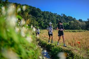 BIB: 
                            <button type="button" onclick="openModal(26571601)" class="btn btn-primary btn-sm float-right btn-popup" data-toggle="modal" data-target=".modal-high-quality">
                        <i class="fas fa-shopping-cart"></i> Add to Cart
                    </button>
                                            <button type="button" onclick="isThisMe(26571601, true)" class="btn btn-success btn-sm float-right btn-popup btn-isme hidden" data-toggle="tooltip" data-placement="bottom" title="นี่คือรูปของคุณใช่ไหม คลิกที่นี่เพื่อเอาเข้าอัลบั้ม">
                        <i class="fas fa-plus"></i> Add to album
                    </button>
                    <button type="button" onclick="isThisMe(26571601, false)" class="btn btn-warning btn-sm float-right btn-popup btn-isnotme hidden">
                        <i class="fas fa-ban"></i> Remove from album
                    </button>