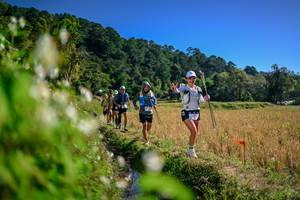 BIB: 
                            <button type="button" onclick="openModal(26575498)" class="btn btn-primary btn-sm float-right btn-popup" data-toggle="modal" data-target=".modal-high-quality">
                        <i class="fas fa-shopping-cart"></i> Add to Cart
                    </button>
                                            <button type="button" onclick="isThisMe(26575498, true)" class="btn btn-success btn-sm float-right btn-popup btn-isme hidden" data-toggle="tooltip" data-placement="bottom" title="นี่คือรูปของคุณใช่ไหม คลิกที่นี่เพื่อเอาเข้าอัลบั้ม">
                        <i class="fas fa-plus"></i> Add to album
                    </button>
                    <button type="button" onclick="isThisMe(26575498, false)" class="btn btn-warning btn-sm float-right btn-popup btn-isnotme hidden">
                        <i class="fas fa-ban"></i> Remove from album
                    </button>