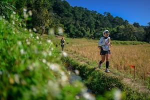 BIB: 
                            <button type="button" onclick="openModal(26581785)" class="btn btn-primary btn-sm float-right btn-popup" data-toggle="modal" data-target=".modal-high-quality">
                        <i class="fas fa-shopping-cart"></i> Add to Cart
                    </button>
                                            <button type="button" onclick="isThisMe(26581785, true)" class="btn btn-success btn-sm float-right btn-popup btn-isme hidden" data-toggle="tooltip" data-placement="bottom" title="นี่คือรูปของคุณใช่ไหม คลิกที่นี่เพื่อเอาเข้าอัลบั้ม">
                        <i class="fas fa-plus"></i> Add to album
                    </button>
                    <button type="button" onclick="isThisMe(26581785, false)" class="btn btn-warning btn-sm float-right btn-popup btn-isnotme hidden">
                        <i class="fas fa-ban"></i> Remove from album
                    </button>