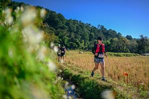 BIB: 
                            <button type="button" onclick="openModal(26571594)" class="btn btn-primary btn-sm float-right btn-popup" data-toggle="modal" data-target=".modal-high-quality">
                        <i class="fas fa-shopping-cart"></i> Add to Cart
                    </button>
                                            <button type="button" onclick="isThisMe(26571594, true)" class="btn btn-success btn-sm float-right btn-popup btn-isme hidden" data-toggle="tooltip" data-placement="bottom" title="นี่คือรูปของคุณใช่ไหม คลิกที่นี่เพื่อเอาเข้าอัลบั้ม">
                        <i class="fas fa-plus"></i> Add to album
                    </button>
                    <button type="button" onclick="isThisMe(26571594, false)" class="btn btn-warning btn-sm float-right btn-popup btn-isnotme hidden">
                        <i class="fas fa-ban"></i> Remove from album
                    </button>