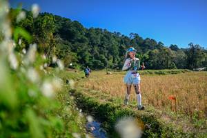 BIB: 
                            <button type="button" onclick="openModal(26573442)" class="btn btn-primary btn-sm float-right btn-popup" data-toggle="modal" data-target=".modal-high-quality">
                        <i class="fas fa-shopping-cart"></i> Add to Cart
                    </button>
                                            <button type="button" onclick="isThisMe(26573442, true)" class="btn btn-success btn-sm float-right btn-popup btn-isme hidden" data-toggle="tooltip" data-placement="bottom" title="นี่คือรูปของคุณใช่ไหม คลิกที่นี่เพื่อเอาเข้าอัลบั้ม">
                        <i class="fas fa-plus"></i> Add to album
                    </button>
                    <button type="button" onclick="isThisMe(26573442, false)" class="btn btn-warning btn-sm float-right btn-popup btn-isnotme hidden">
                        <i class="fas fa-ban"></i> Remove from album
                    </button>