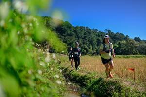 BIB: 
                            <button type="button" onclick="openModal(26580877)" class="btn btn-primary btn-sm float-right btn-popup" data-toggle="modal" data-target=".modal-high-quality">
                        <i class="fas fa-shopping-cart"></i> Add to Cart
                    </button>
                                            <button type="button" onclick="isThisMe(26580877, true)" class="btn btn-success btn-sm float-right btn-popup btn-isme hidden" data-toggle="tooltip" data-placement="bottom" title="นี่คือรูปของคุณใช่ไหม คลิกที่นี่เพื่อเอาเข้าอัลบั้ม">
                        <i class="fas fa-plus"></i> Add to album
                    </button>
                    <button type="button" onclick="isThisMe(26580877, false)" class="btn btn-warning btn-sm float-right btn-popup btn-isnotme hidden">
                        <i class="fas fa-ban"></i> Remove from album
                    </button>