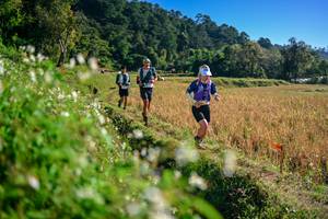 BIB: 
                            <button type="button" onclick="openModal(26571415)" class="btn btn-primary btn-sm float-right btn-popup" data-toggle="modal" data-target=".modal-high-quality">
                        <i class="fas fa-shopping-cart"></i> Add to Cart
                    </button>
                                            <button type="button" onclick="isThisMe(26571415, true)" class="btn btn-success btn-sm float-right btn-popup btn-isme hidden" data-toggle="tooltip" data-placement="bottom" title="นี่คือรูปของคุณใช่ไหม คลิกที่นี่เพื่อเอาเข้าอัลบั้ม">
                        <i class="fas fa-plus"></i> Add to album
                    </button>
                    <button type="button" onclick="isThisMe(26571415, false)" class="btn btn-warning btn-sm float-right btn-popup btn-isnotme hidden">
                        <i class="fas fa-ban"></i> Remove from album
                    </button>