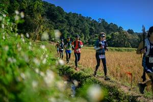 BIB: 
                            <button type="button" onclick="openModal(26576329)" class="btn btn-primary btn-sm float-right btn-popup" data-toggle="modal" data-target=".modal-high-quality">
                        <i class="fas fa-shopping-cart"></i> Add to Cart
                    </button>
                                            <button type="button" onclick="isThisMe(26576329, true)" class="btn btn-success btn-sm float-right btn-popup btn-isme hidden" data-toggle="tooltip" data-placement="bottom" title="นี่คือรูปของคุณใช่ไหม คลิกที่นี่เพื่อเอาเข้าอัลบั้ม">
                        <i class="fas fa-plus"></i> Add to album
                    </button>
                    <button type="button" onclick="isThisMe(26576329, false)" class="btn btn-warning btn-sm float-right btn-popup btn-isnotme hidden">
                        <i class="fas fa-ban"></i> Remove from album
                    </button>