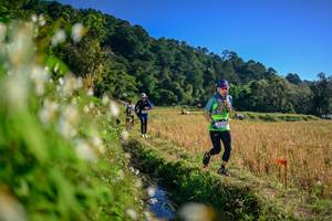 BIB: 
                            <button type="button" onclick="openModal(26571555)" class="btn btn-primary btn-sm float-right btn-popup" data-toggle="modal" data-target=".modal-high-quality">
                        <i class="fas fa-shopping-cart"></i> Add to Cart
                    </button>
                                            <button type="button" onclick="isThisMe(26571555, true)" class="btn btn-success btn-sm float-right btn-popup btn-isme hidden" data-toggle="tooltip" data-placement="bottom" title="นี่คือรูปของคุณใช่ไหม คลิกที่นี่เพื่อเอาเข้าอัลบั้ม">
                        <i class="fas fa-plus"></i> Add to album
                    </button>
                    <button type="button" onclick="isThisMe(26571555, false)" class="btn btn-warning btn-sm float-right btn-popup btn-isnotme hidden">
                        <i class="fas fa-ban"></i> Remove from album
                    </button>