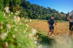 BIB: 
                            <button type="button" onclick="openModal(26571010)" class="btn btn-primary btn-sm float-right btn-popup" data-toggle="modal" data-target=".modal-high-quality">
                        <i class="fas fa-shopping-cart"></i> Add to Cart
                    </button>
                                            <button type="button" onclick="isThisMe(26571010, true)" class="btn btn-success btn-sm float-right btn-popup btn-isme hidden" data-toggle="tooltip" data-placement="bottom" title="นี่คือรูปของคุณใช่ไหม คลิกที่นี่เพื่อเอาเข้าอัลบั้ม">
                        <i class="fas fa-plus"></i> Add to album
                    </button>
                    <button type="button" onclick="isThisMe(26571010, false)" class="btn btn-warning btn-sm float-right btn-popup btn-isnotme hidden">
                        <i class="fas fa-ban"></i> Remove from album
                    </button>