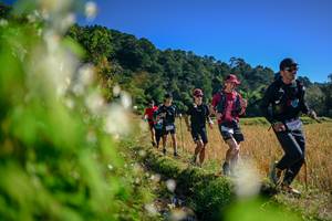 BIB: 
                            <button type="button" onclick="openModal(26572393)" class="btn btn-primary btn-sm float-right btn-popup" data-toggle="modal" data-target=".modal-high-quality">
                        <i class="fas fa-shopping-cart"></i> Add to Cart
                    </button>
                                            <button type="button" onclick="isThisMe(26572393, true)" class="btn btn-success btn-sm float-right btn-popup btn-isme hidden" data-toggle="tooltip" data-placement="bottom" title="นี่คือรูปของคุณใช่ไหม คลิกที่นี่เพื่อเอาเข้าอัลบั้ม">
                        <i class="fas fa-plus"></i> Add to album
                    </button>
                    <button type="button" onclick="isThisMe(26572393, false)" class="btn btn-warning btn-sm float-right btn-popup btn-isnotme hidden">
                        <i class="fas fa-ban"></i> Remove from album
                    </button>