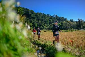 BIB: 
                            <button type="button" onclick="openModal(26572323)" class="btn btn-primary btn-sm float-right btn-popup" data-toggle="modal" data-target=".modal-high-quality">
                        <i class="fas fa-shopping-cart"></i> Add to Cart
                    </button>
                                            <button type="button" onclick="isThisMe(26572323, true)" class="btn btn-success btn-sm float-right btn-popup btn-isme hidden" data-toggle="tooltip" data-placement="bottom" title="นี่คือรูปของคุณใช่ไหม คลิกที่นี่เพื่อเอาเข้าอัลบั้ม">
                        <i class="fas fa-plus"></i> Add to album
                    </button>
                    <button type="button" onclick="isThisMe(26572323, false)" class="btn btn-warning btn-sm float-right btn-popup btn-isnotme hidden">
                        <i class="fas fa-ban"></i> Remove from album
                    </button>