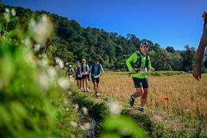 BIB: 
                            <button type="button" onclick="openModal(26575594)" class="btn btn-primary btn-sm float-right btn-popup" data-toggle="modal" data-target=".modal-high-quality">
                        <i class="fas fa-shopping-cart"></i> Add to Cart
                    </button>
                                            <button type="button" onclick="isThisMe(26575594, true)" class="btn btn-success btn-sm float-right btn-popup btn-isme hidden" data-toggle="tooltip" data-placement="bottom" title="นี่คือรูปของคุณใช่ไหม คลิกที่นี่เพื่อเอาเข้าอัลบั้ม">
                        <i class="fas fa-plus"></i> Add to album
                    </button>
                    <button type="button" onclick="isThisMe(26575594, false)" class="btn btn-warning btn-sm float-right btn-popup btn-isnotme hidden">
                        <i class="fas fa-ban"></i> Remove from album
                    </button>