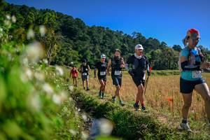 BIB: 
                            <button type="button" onclick="openModal(26575653)" class="btn btn-primary btn-sm float-right btn-popup" data-toggle="modal" data-target=".modal-high-quality">
                        <i class="fas fa-shopping-cart"></i> Add to Cart
                    </button>
                                            <button type="button" onclick="isThisMe(26575653, true)" class="btn btn-success btn-sm float-right btn-popup btn-isme hidden" data-toggle="tooltip" data-placement="bottom" title="นี่คือรูปของคุณใช่ไหม คลิกที่นี่เพื่อเอาเข้าอัลบั้ม">
                        <i class="fas fa-plus"></i> Add to album
                    </button>
                    <button type="button" onclick="isThisMe(26575653, false)" class="btn btn-warning btn-sm float-right btn-popup btn-isnotme hidden">
                        <i class="fas fa-ban"></i> Remove from album
                    </button>