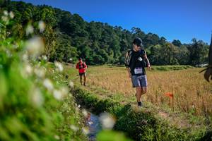 BIB: 
                            <button type="button" onclick="openModal(26575681)" class="btn btn-primary btn-sm float-right btn-popup" data-toggle="modal" data-target=".modal-high-quality">
                        <i class="fas fa-shopping-cart"></i> Add to Cart
                    </button>
                                            <button type="button" onclick="isThisMe(26575681, true)" class="btn btn-success btn-sm float-right btn-popup btn-isme hidden" data-toggle="tooltip" data-placement="bottom" title="นี่คือรูปของคุณใช่ไหม คลิกที่นี่เพื่อเอาเข้าอัลบั้ม">
                        <i class="fas fa-plus"></i> Add to album
                    </button>
                    <button type="button" onclick="isThisMe(26575681, false)" class="btn btn-warning btn-sm float-right btn-popup btn-isnotme hidden">
                        <i class="fas fa-ban"></i> Remove from album
                    </button>