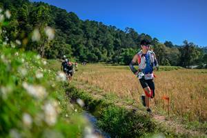 BIB: 
                            <button type="button" onclick="openModal(26582659)" class="btn btn-primary btn-sm float-right btn-popup" data-toggle="modal" data-target=".modal-high-quality">
                        <i class="fas fa-shopping-cart"></i> Add to Cart
                    </button>
                                            <button type="button" onclick="isThisMe(26582659, true)" class="btn btn-success btn-sm float-right btn-popup btn-isme hidden" data-toggle="tooltip" data-placement="bottom" title="นี่คือรูปของคุณใช่ไหม คลิกที่นี่เพื่อเอาเข้าอัลบั้ม">
                        <i class="fas fa-plus"></i> Add to album
                    </button>
                    <button type="button" onclick="isThisMe(26582659, false)" class="btn btn-warning btn-sm float-right btn-popup btn-isnotme hidden">
                        <i class="fas fa-ban"></i> Remove from album
                    </button>