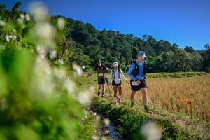 BIB: 
                            <button type="button" onclick="openModal(26574375)" class="btn btn-primary btn-sm float-right btn-popup" data-toggle="modal" data-target=".modal-high-quality">
                        <i class="fas fa-shopping-cart"></i> Add to Cart
                    </button>
                                            <button type="button" onclick="isThisMe(26574375, true)" class="btn btn-success btn-sm float-right btn-popup btn-isme hidden" data-toggle="tooltip" data-placement="bottom" title="นี่คือรูปของคุณใช่ไหม คลิกที่นี่เพื่อเอาเข้าอัลบั้ม">
                        <i class="fas fa-plus"></i> Add to album
                    </button>
                    <button type="button" onclick="isThisMe(26574375, false)" class="btn btn-warning btn-sm float-right btn-popup btn-isnotme hidden">
                        <i class="fas fa-ban"></i> Remove from album
                    </button>