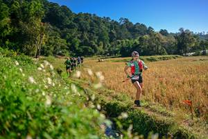 BIB: 
                            <button type="button" onclick="openModal(26571210)" class="btn btn-primary btn-sm float-right btn-popup" data-toggle="modal" data-target=".modal-high-quality">
                        <i class="fas fa-shopping-cart"></i> Add to Cart
                    </button>
                                            <button type="button" onclick="isThisMe(26571210, true)" class="btn btn-success btn-sm float-right btn-popup btn-isme hidden" data-toggle="tooltip" data-placement="bottom" title="นี่คือรูปของคุณใช่ไหม คลิกที่นี่เพื่อเอาเข้าอัลบั้ม">
                        <i class="fas fa-plus"></i> Add to album
                    </button>
                    <button type="button" onclick="isThisMe(26571210, false)" class="btn btn-warning btn-sm float-right btn-popup btn-isnotme hidden">
                        <i class="fas fa-ban"></i> Remove from album
                    </button>