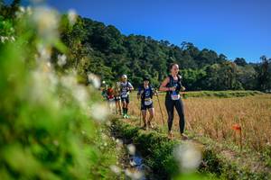 BIB: 
                            <button type="button" onclick="openModal(26574332)" class="btn btn-primary btn-sm float-right btn-popup" data-toggle="modal" data-target=".modal-high-quality">
                        <i class="fas fa-shopping-cart"></i> Add to Cart
                    </button>
                                            <button type="button" onclick="isThisMe(26574332, true)" class="btn btn-success btn-sm float-right btn-popup btn-isme hidden" data-toggle="tooltip" data-placement="bottom" title="นี่คือรูปของคุณใช่ไหม คลิกที่นี่เพื่อเอาเข้าอัลบั้ม">
                        <i class="fas fa-plus"></i> Add to album
                    </button>
                    <button type="button" onclick="isThisMe(26574332, false)" class="btn btn-warning btn-sm float-right btn-popup btn-isnotme hidden">
                        <i class="fas fa-ban"></i> Remove from album
                    </button>