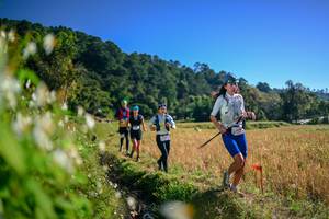 BIB: 
                            <button type="button" onclick="openModal(26571615)" class="btn btn-primary btn-sm float-right btn-popup" data-toggle="modal" data-target=".modal-high-quality">
                        <i class="fas fa-shopping-cart"></i> Add to Cart
                    </button>
                                            <button type="button" onclick="isThisMe(26571615, true)" class="btn btn-success btn-sm float-right btn-popup btn-isme hidden" data-toggle="tooltip" data-placement="bottom" title="นี่คือรูปของคุณใช่ไหม คลิกที่นี่เพื่อเอาเข้าอัลบั้ม">
                        <i class="fas fa-plus"></i> Add to album
                    </button>
                    <button type="button" onclick="isThisMe(26571615, false)" class="btn btn-warning btn-sm float-right btn-popup btn-isnotme hidden">
                        <i class="fas fa-ban"></i> Remove from album
                    </button>