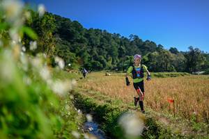 BIB: 
                            <button type="button" onclick="openModal(26573913)" class="btn btn-primary btn-sm float-right btn-popup" data-toggle="modal" data-target=".modal-high-quality">
                        <i class="fas fa-shopping-cart"></i> Add to Cart
                    </button>
                                            <button type="button" onclick="isThisMe(26573913, true)" class="btn btn-success btn-sm float-right btn-popup btn-isme hidden" data-toggle="tooltip" data-placement="bottom" title="นี่คือรูปของคุณใช่ไหม คลิกที่นี่เพื่อเอาเข้าอัลบั้ม">
                        <i class="fas fa-plus"></i> Add to album
                    </button>
                    <button type="button" onclick="isThisMe(26573913, false)" class="btn btn-warning btn-sm float-right btn-popup btn-isnotme hidden">
                        <i class="fas fa-ban"></i> Remove from album
                    </button>