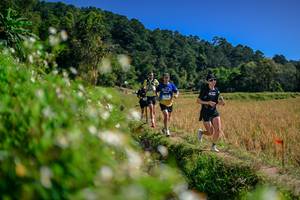 BIB: 
                            <button type="button" onclick="openModal(26582284)" class="btn btn-primary btn-sm float-right btn-popup" data-toggle="modal" data-target=".modal-high-quality">
                        <i class="fas fa-shopping-cart"></i> Add to Cart
                    </button>
                                            <button type="button" onclick="isThisMe(26582284, true)" class="btn btn-success btn-sm float-right btn-popup btn-isme hidden" data-toggle="tooltip" data-placement="bottom" title="นี่คือรูปของคุณใช่ไหม คลิกที่นี่เพื่อเอาเข้าอัลบั้ม">
                        <i class="fas fa-plus"></i> Add to album
                    </button>
                    <button type="button" onclick="isThisMe(26582284, false)" class="btn btn-warning btn-sm float-right btn-popup btn-isnotme hidden">
                        <i class="fas fa-ban"></i> Remove from album
                    </button>