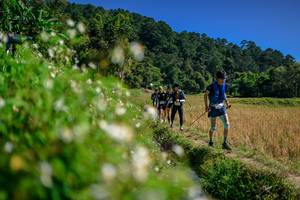 BIB: 
                            <button type="button" onclick="openModal(26583130)" class="btn btn-primary btn-sm float-right btn-popup" data-toggle="modal" data-target=".modal-high-quality">
                        <i class="fas fa-shopping-cart"></i> Add to Cart
                    </button>
                                            <button type="button" onclick="isThisMe(26583130, true)" class="btn btn-success btn-sm float-right btn-popup btn-isme hidden" data-toggle="tooltip" data-placement="bottom" title="นี่คือรูปของคุณใช่ไหม คลิกที่นี่เพื่อเอาเข้าอัลบั้ม">
                        <i class="fas fa-plus"></i> Add to album
                    </button>
                    <button type="button" onclick="isThisMe(26583130, false)" class="btn btn-warning btn-sm float-right btn-popup btn-isnotme hidden">
                        <i class="fas fa-ban"></i> Remove from album
                    </button>