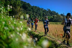 BIB: 
                            <button type="button" onclick="openModal(26576323)" class="btn btn-primary btn-sm float-right btn-popup" data-toggle="modal" data-target=".modal-high-quality">
                        <i class="fas fa-shopping-cart"></i> Add to Cart
                    </button>
                                            <button type="button" onclick="isThisMe(26576323, true)" class="btn btn-success btn-sm float-right btn-popup btn-isme hidden" data-toggle="tooltip" data-placement="bottom" title="นี่คือรูปของคุณใช่ไหม คลิกที่นี่เพื่อเอาเข้าอัลบั้ม">
                        <i class="fas fa-plus"></i> Add to album
                    </button>
                    <button type="button" onclick="isThisMe(26576323, false)" class="btn btn-warning btn-sm float-right btn-popup btn-isnotme hidden">
                        <i class="fas fa-ban"></i> Remove from album
                    </button>