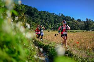 BIB: 
                            <button type="button" onclick="openModal(26574187)" class="btn btn-primary btn-sm float-right btn-popup" data-toggle="modal" data-target=".modal-high-quality">
                        <i class="fas fa-shopping-cart"></i> Add to Cart
                    </button>
                                            <button type="button" onclick="isThisMe(26574187, true)" class="btn btn-success btn-sm float-right btn-popup btn-isme hidden" data-toggle="tooltip" data-placement="bottom" title="นี่คือรูปของคุณใช่ไหม คลิกที่นี่เพื่อเอาเข้าอัลบั้ม">
                        <i class="fas fa-plus"></i> Add to album
                    </button>
                    <button type="button" onclick="isThisMe(26574187, false)" class="btn btn-warning btn-sm float-right btn-popup btn-isnotme hidden">
                        <i class="fas fa-ban"></i> Remove from album
                    </button>