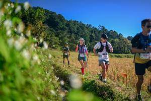 BIB: 
                            <button type="button" onclick="openModal(26571767)" class="btn btn-primary btn-sm float-right btn-popup" data-toggle="modal" data-target=".modal-high-quality">
                        <i class="fas fa-shopping-cart"></i> Add to Cart
                    </button>
                                            <button type="button" onclick="isThisMe(26571767, true)" class="btn btn-success btn-sm float-right btn-popup btn-isme hidden" data-toggle="tooltip" data-placement="bottom" title="นี่คือรูปของคุณใช่ไหม คลิกที่นี่เพื่อเอาเข้าอัลบั้ม">
                        <i class="fas fa-plus"></i> Add to album
                    </button>
                    <button type="button" onclick="isThisMe(26571767, false)" class="btn btn-warning btn-sm float-right btn-popup btn-isnotme hidden">
                        <i class="fas fa-ban"></i> Remove from album
                    </button>