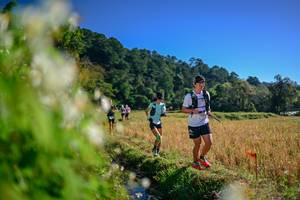 BIB: 
                            <button type="button" onclick="openModal(26572258)" class="btn btn-primary btn-sm float-right btn-popup" data-toggle="modal" data-target=".modal-high-quality">
                        <i class="fas fa-shopping-cart"></i> Add to Cart
                    </button>
                                            <button type="button" onclick="isThisMe(26572258, true)" class="btn btn-success btn-sm float-right btn-popup btn-isme hidden" data-toggle="tooltip" data-placement="bottom" title="นี่คือรูปของคุณใช่ไหม คลิกที่นี่เพื่อเอาเข้าอัลบั้ม">
                        <i class="fas fa-plus"></i> Add to album
                    </button>
                    <button type="button" onclick="isThisMe(26572258, false)" class="btn btn-warning btn-sm float-right btn-popup btn-isnotme hidden">
                        <i class="fas fa-ban"></i> Remove from album
                    </button>