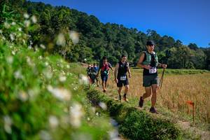 BIB: 
                            <button type="button" onclick="openModal(26583001)" class="btn btn-primary btn-sm float-right btn-popup" data-toggle="modal" data-target=".modal-high-quality">
                        <i class="fas fa-shopping-cart"></i> Add to Cart
                    </button>
                                            <button type="button" onclick="isThisMe(26583001, true)" class="btn btn-success btn-sm float-right btn-popup btn-isme hidden" data-toggle="tooltip" data-placement="bottom" title="นี่คือรูปของคุณใช่ไหม คลิกที่นี่เพื่อเอาเข้าอัลบั้ม">
                        <i class="fas fa-plus"></i> Add to album
                    </button>
                    <button type="button" onclick="isThisMe(26583001, false)" class="btn btn-warning btn-sm float-right btn-popup btn-isnotme hidden">
                        <i class="fas fa-ban"></i> Remove from album
                    </button>