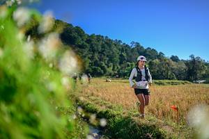 BIB: 
                            <button type="button" onclick="openModal(26572017)" class="btn btn-primary btn-sm float-right btn-popup" data-toggle="modal" data-target=".modal-high-quality">
                        <i class="fas fa-shopping-cart"></i> Add to Cart
                    </button>
                                            <button type="button" onclick="isThisMe(26572017, true)" class="btn btn-success btn-sm float-right btn-popup btn-isme hidden" data-toggle="tooltip" data-placement="bottom" title="นี่คือรูปของคุณใช่ไหม คลิกที่นี่เพื่อเอาเข้าอัลบั้ม">
                        <i class="fas fa-plus"></i> Add to album
                    </button>
                    <button type="button" onclick="isThisMe(26572017, false)" class="btn btn-warning btn-sm float-right btn-popup btn-isnotme hidden">
                        <i class="fas fa-ban"></i> Remove from album
                    </button>