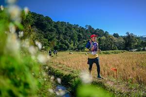 BIB: 
                            <button type="button" onclick="openModal(26574742)" class="btn btn-primary btn-sm float-right btn-popup" data-toggle="modal" data-target=".modal-high-quality">
                        <i class="fas fa-shopping-cart"></i> Add to Cart
                    </button>
                                            <button type="button" onclick="isThisMe(26574742, true)" class="btn btn-success btn-sm float-right btn-popup btn-isme hidden" data-toggle="tooltip" data-placement="bottom" title="นี่คือรูปของคุณใช่ไหม คลิกที่นี่เพื่อเอาเข้าอัลบั้ม">
                        <i class="fas fa-plus"></i> Add to album
                    </button>
                    <button type="button" onclick="isThisMe(26574742, false)" class="btn btn-warning btn-sm float-right btn-popup btn-isnotme hidden">
                        <i class="fas fa-ban"></i> Remove from album
                    </button>