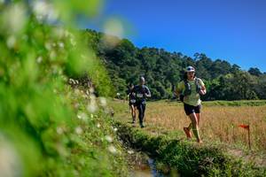 BIB: 
                            <button type="button" onclick="openModal(26580875)" class="btn btn-primary btn-sm float-right btn-popup" data-toggle="modal" data-target=".modal-high-quality">
                        <i class="fas fa-shopping-cart"></i> Add to Cart
                    </button>
                                            <button type="button" onclick="isThisMe(26580875, true)" class="btn btn-success btn-sm float-right btn-popup btn-isme hidden" data-toggle="tooltip" data-placement="bottom" title="นี่คือรูปของคุณใช่ไหม คลิกที่นี่เพื่อเอาเข้าอัลบั้ม">
                        <i class="fas fa-plus"></i> Add to album
                    </button>
                    <button type="button" onclick="isThisMe(26580875, false)" class="btn btn-warning btn-sm float-right btn-popup btn-isnotme hidden">
                        <i class="fas fa-ban"></i> Remove from album
                    </button>