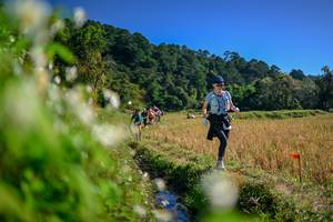 BIB: 
                            <button type="button" onclick="openModal(26573921)" class="btn btn-primary btn-sm float-right btn-popup" data-toggle="modal" data-target=".modal-high-quality">
                        <i class="fas fa-shopping-cart"></i> Add to Cart
                    </button>
                                            <button type="button" onclick="isThisMe(26573921, true)" class="btn btn-success btn-sm float-right btn-popup btn-isme hidden" data-toggle="tooltip" data-placement="bottom" title="นี่คือรูปของคุณใช่ไหม คลิกที่นี่เพื่อเอาเข้าอัลบั้ม">
                        <i class="fas fa-plus"></i> Add to album
                    </button>
                    <button type="button" onclick="isThisMe(26573921, false)" class="btn btn-warning btn-sm float-right btn-popup btn-isnotme hidden">
                        <i class="fas fa-ban"></i> Remove from album
                    </button>