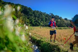 BIB: 
                            <button type="button" onclick="openModal(26571501)" class="btn btn-primary btn-sm float-right btn-popup" data-toggle="modal" data-target=".modal-high-quality">
                        <i class="fas fa-shopping-cart"></i> Add to Cart
                    </button>
                                            <button type="button" onclick="isThisMe(26571501, true)" class="btn btn-success btn-sm float-right btn-popup btn-isme hidden" data-toggle="tooltip" data-placement="bottom" title="นี่คือรูปของคุณใช่ไหม คลิกที่นี่เพื่อเอาเข้าอัลบั้ม">
                        <i class="fas fa-plus"></i> Add to album
                    </button>
                    <button type="button" onclick="isThisMe(26571501, false)" class="btn btn-warning btn-sm float-right btn-popup btn-isnotme hidden">
                        <i class="fas fa-ban"></i> Remove from album
                    </button>