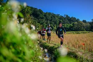 BIB: 
                            <button type="button" onclick="openModal(26574595)" class="btn btn-primary btn-sm float-right btn-popup" data-toggle="modal" data-target=".modal-high-quality">
                        <i class="fas fa-shopping-cart"></i> Add to Cart
                    </button>
                                            <button type="button" onclick="isThisMe(26574595, true)" class="btn btn-success btn-sm float-right btn-popup btn-isme hidden" data-toggle="tooltip" data-placement="bottom" title="นี่คือรูปของคุณใช่ไหม คลิกที่นี่เพื่อเอาเข้าอัลบั้ม">
                        <i class="fas fa-plus"></i> Add to album
                    </button>
                    <button type="button" onclick="isThisMe(26574595, false)" class="btn btn-warning btn-sm float-right btn-popup btn-isnotme hidden">
                        <i class="fas fa-ban"></i> Remove from album
                    </button>