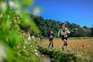 BIB: 
                            <button type="button" onclick="openModal(26580893)" class="btn btn-primary btn-sm float-right btn-popup" data-toggle="modal" data-target=".modal-high-quality">
                        <i class="fas fa-shopping-cart"></i> Add to Cart
                    </button>
                                            <button type="button" onclick="isThisMe(26580893, true)" class="btn btn-success btn-sm float-right btn-popup btn-isme hidden" data-toggle="tooltip" data-placement="bottom" title="นี่คือรูปของคุณใช่ไหม คลิกที่นี่เพื่อเอาเข้าอัลบั้ม">
                        <i class="fas fa-plus"></i> Add to album
                    </button>
                    <button type="button" onclick="isThisMe(26580893, false)" class="btn btn-warning btn-sm float-right btn-popup btn-isnotme hidden">
                        <i class="fas fa-ban"></i> Remove from album
                    </button>