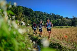 BIB: 
                            <button type="button" onclick="openModal(26574482)" class="btn btn-primary btn-sm float-right btn-popup" data-toggle="modal" data-target=".modal-high-quality">
                        <i class="fas fa-shopping-cart"></i> Add to Cart
                    </button>
                                            <button type="button" onclick="isThisMe(26574482, true)" class="btn btn-success btn-sm float-right btn-popup btn-isme hidden" data-toggle="tooltip" data-placement="bottom" title="นี่คือรูปของคุณใช่ไหม คลิกที่นี่เพื่อเอาเข้าอัลบั้ม">
                        <i class="fas fa-plus"></i> Add to album
                    </button>
                    <button type="button" onclick="isThisMe(26574482, false)" class="btn btn-warning btn-sm float-right btn-popup btn-isnotme hidden">
                        <i class="fas fa-ban"></i> Remove from album
                    </button>