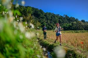 BIB: 
                            <button type="button" onclick="openModal(26573863)" class="btn btn-primary btn-sm float-right btn-popup" data-toggle="modal" data-target=".modal-high-quality">
                        <i class="fas fa-shopping-cart"></i> Add to Cart
                    </button>
                                            <button type="button" onclick="isThisMe(26573863, true)" class="btn btn-success btn-sm float-right btn-popup btn-isme hidden" data-toggle="tooltip" data-placement="bottom" title="นี่คือรูปของคุณใช่ไหม คลิกที่นี่เพื่อเอาเข้าอัลบั้ม">
                        <i class="fas fa-plus"></i> Add to album
                    </button>
                    <button type="button" onclick="isThisMe(26573863, false)" class="btn btn-warning btn-sm float-right btn-popup btn-isnotme hidden">
                        <i class="fas fa-ban"></i> Remove from album
                    </button>