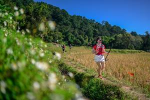 BIB: 
                            <button type="button" onclick="openModal(26582719)" class="btn btn-primary btn-sm float-right btn-popup" data-toggle="modal" data-target=".modal-high-quality">
                        <i class="fas fa-shopping-cart"></i> Add to Cart
                    </button>
                                            <button type="button" onclick="isThisMe(26582719, true)" class="btn btn-success btn-sm float-right btn-popup btn-isme hidden" data-toggle="tooltip" data-placement="bottom" title="นี่คือรูปของคุณใช่ไหม คลิกที่นี่เพื่อเอาเข้าอัลบั้ม">
                        <i class="fas fa-plus"></i> Add to album
                    </button>
                    <button type="button" onclick="isThisMe(26582719, false)" class="btn btn-warning btn-sm float-right btn-popup btn-isnotme hidden">
                        <i class="fas fa-ban"></i> Remove from album
                    </button>