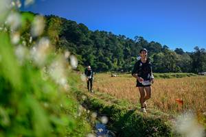 BIB: 
                            <button type="button" onclick="openModal(26572160)" class="btn btn-primary btn-sm float-right btn-popup" data-toggle="modal" data-target=".modal-high-quality">
                        <i class="fas fa-shopping-cart"></i> Add to Cart
                    </button>
                                            <button type="button" onclick="isThisMe(26572160, true)" class="btn btn-success btn-sm float-right btn-popup btn-isme hidden" data-toggle="tooltip" data-placement="bottom" title="นี่คือรูปของคุณใช่ไหม คลิกที่นี่เพื่อเอาเข้าอัลบั้ม">
                        <i class="fas fa-plus"></i> Add to album
                    </button>
                    <button type="button" onclick="isThisMe(26572160, false)" class="btn btn-warning btn-sm float-right btn-popup btn-isnotme hidden">
                        <i class="fas fa-ban"></i> Remove from album
                    </button>