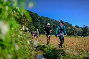 BIB: 
                            <button type="button" onclick="openModal(26580401)" class="btn btn-primary btn-sm float-right btn-popup" data-toggle="modal" data-target=".modal-high-quality">
                        <i class="fas fa-shopping-cart"></i> Add to Cart
                    </button>
                                            <button type="button" onclick="isThisMe(26580401, true)" class="btn btn-success btn-sm float-right btn-popup btn-isme hidden" data-toggle="tooltip" data-placement="bottom" title="นี่คือรูปของคุณใช่ไหม คลิกที่นี่เพื่อเอาเข้าอัลบั้ม">
                        <i class="fas fa-plus"></i> Add to album
                    </button>
                    <button type="button" onclick="isThisMe(26580401, false)" class="btn btn-warning btn-sm float-right btn-popup btn-isnotme hidden">
                        <i class="fas fa-ban"></i> Remove from album
                    </button>