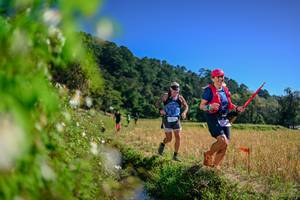 BIB: 
                            <button type="button" onclick="openModal(26581074)" class="btn btn-primary btn-sm float-right btn-popup" data-toggle="modal" data-target=".modal-high-quality">
                        <i class="fas fa-shopping-cart"></i> Add to Cart
                    </button>
                                            <button type="button" onclick="isThisMe(26581074, true)" class="btn btn-success btn-sm float-right btn-popup btn-isme hidden" data-toggle="tooltip" data-placement="bottom" title="นี่คือรูปของคุณใช่ไหม คลิกที่นี่เพื่อเอาเข้าอัลบั้ม">
                        <i class="fas fa-plus"></i> Add to album
                    </button>
                    <button type="button" onclick="isThisMe(26581074, false)" class="btn btn-warning btn-sm float-right btn-popup btn-isnotme hidden">
                        <i class="fas fa-ban"></i> Remove from album
                    </button>