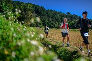 BIB: 
                            <button type="button" onclick="openModal(26582185)" class="btn btn-primary btn-sm float-right btn-popup" data-toggle="modal" data-target=".modal-high-quality">
                        <i class="fas fa-shopping-cart"></i> Add to Cart
                    </button>
                                            <button type="button" onclick="isThisMe(26582185, true)" class="btn btn-success btn-sm float-right btn-popup btn-isme hidden" data-toggle="tooltip" data-placement="bottom" title="นี่คือรูปของคุณใช่ไหม คลิกที่นี่เพื่อเอาเข้าอัลบั้ม">
                        <i class="fas fa-plus"></i> Add to album
                    </button>
                    <button type="button" onclick="isThisMe(26582185, false)" class="btn btn-warning btn-sm float-right btn-popup btn-isnotme hidden">
                        <i class="fas fa-ban"></i> Remove from album
                    </button>