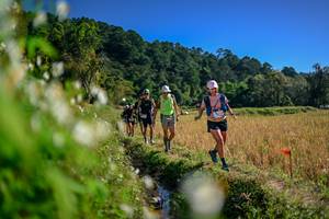 BIB: 
                            <button type="button" onclick="openModal(26574023)" class="btn btn-primary btn-sm float-right btn-popup" data-toggle="modal" data-target=".modal-high-quality">
                        <i class="fas fa-shopping-cart"></i> Add to Cart
                    </button>
                                            <button type="button" onclick="isThisMe(26574023, true)" class="btn btn-success btn-sm float-right btn-popup btn-isme hidden" data-toggle="tooltip" data-placement="bottom" title="นี่คือรูปของคุณใช่ไหม คลิกที่นี่เพื่อเอาเข้าอัลบั้ม">
                        <i class="fas fa-plus"></i> Add to album
                    </button>
                    <button type="button" onclick="isThisMe(26574023, false)" class="btn btn-warning btn-sm float-right btn-popup btn-isnotme hidden">
                        <i class="fas fa-ban"></i> Remove from album
                    </button>